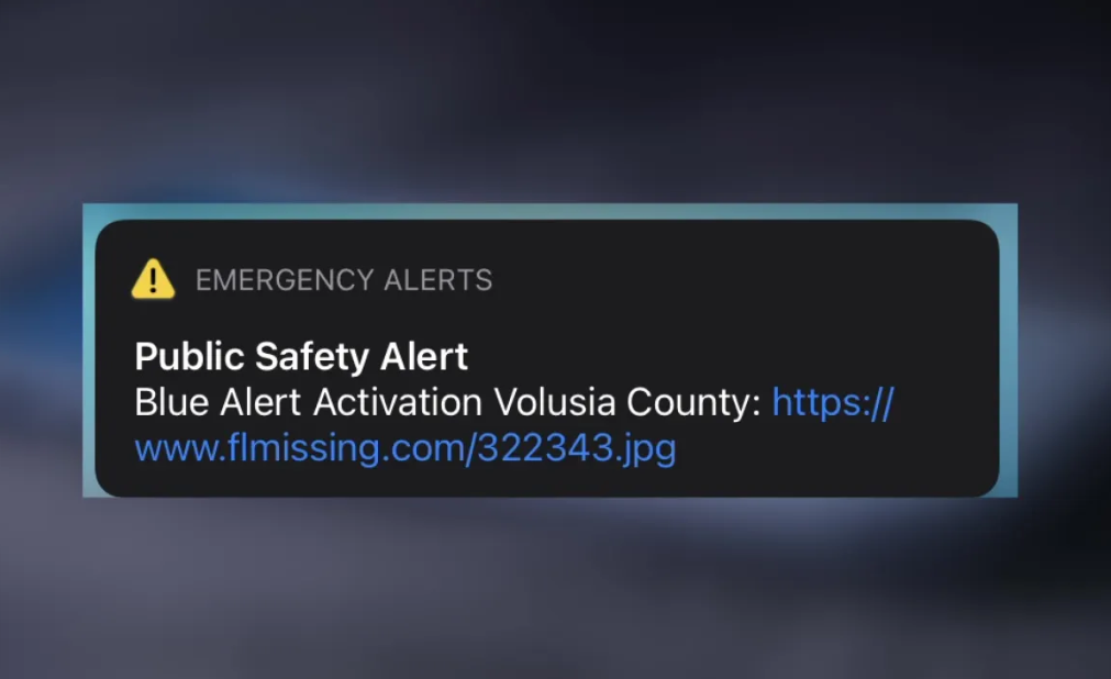 What is Amber Blue Alert?